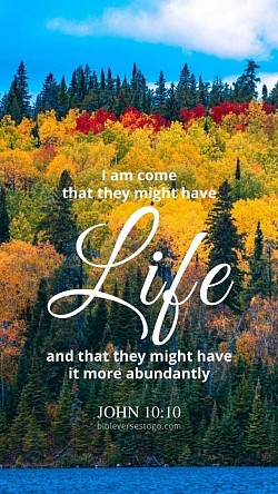 John 10:10
